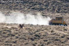 Horse vs Truck on Public Lands